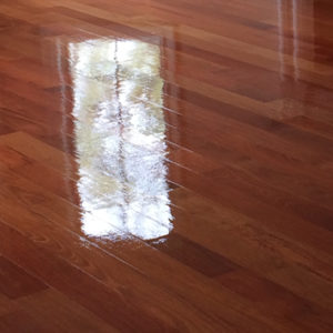 Gloss Finish Hardwood Floors Wheaton, Illinois